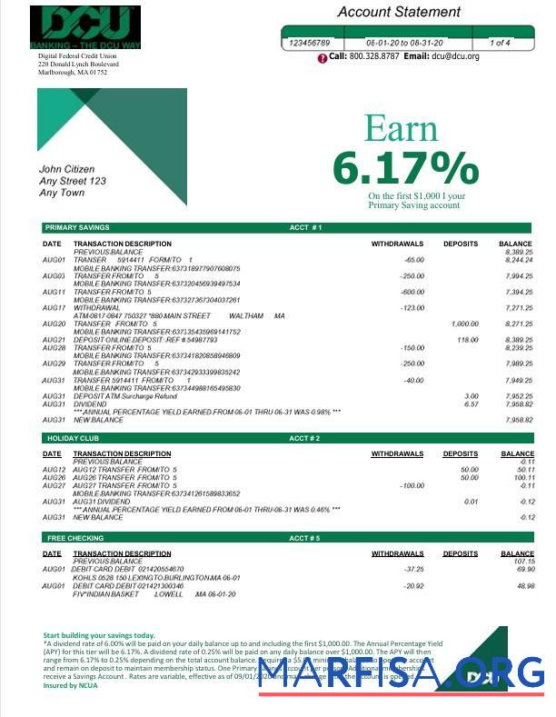 Downloadable USA DCU bank statement word 5 pages sample